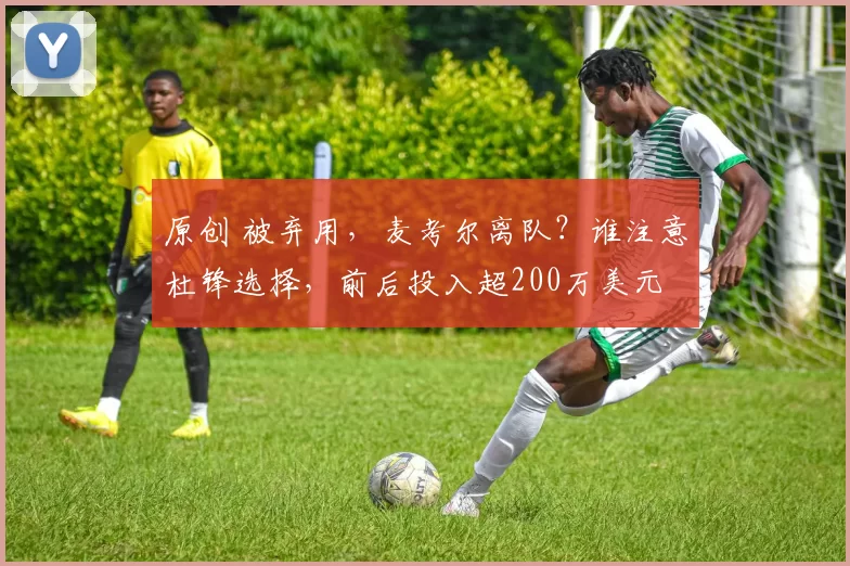 原创 被弃用，麦考尔离队？谁注意杜锋选择，前后投入超200万美元