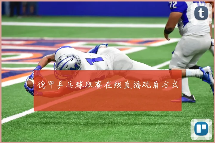 德甲乒乓球联赛在线直播观看方式