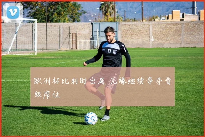 欧洲杯比利时出局 无缘继续争夺晋级席位